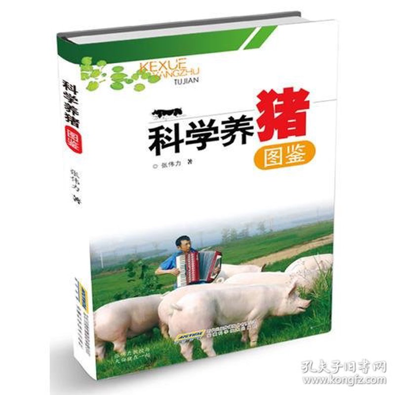 怀宁养殖场：产业发展的缩影与未来展望
